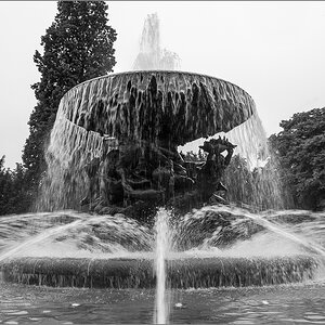 D60_2789.jpg