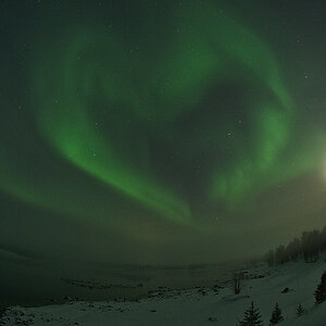 Aurora-Herz