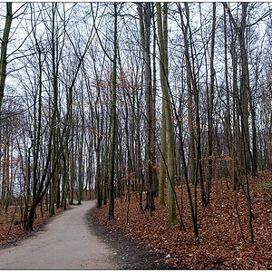 608 Wohin des Wegs?