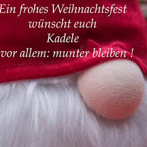 Wichtel 2 (1 von 1).JPG