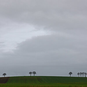 811_6829t10l30s50p1.jpg