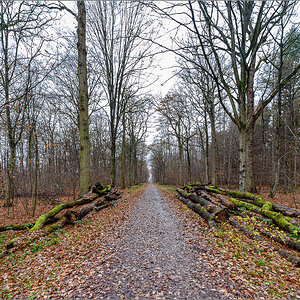 D75_2807.jpg