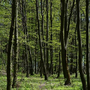 DSC_0561_00019n.jpg