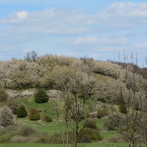 DSC_0564_00001n.jpg