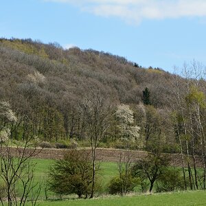 DSC_0568_00001n.jpg