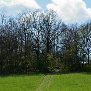 DSC_0570_00001n1.jpg