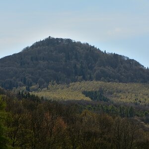 DSC_0574_00001n.jpg