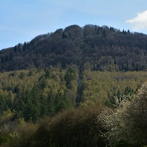 DSC_0582_00001n.jpg