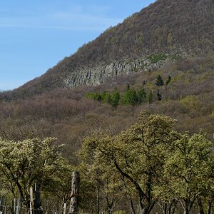 DSC_0595_00001n.jpg