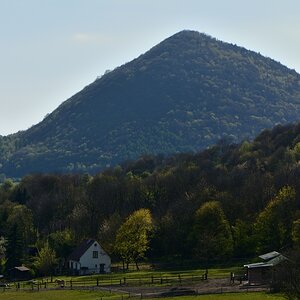 DSC_0610_00001n.jpg
