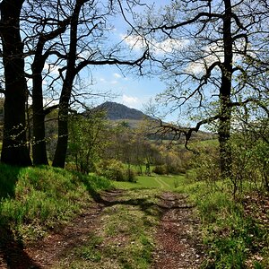 DSC_1124_00001n2.jpg