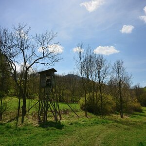 DSC_1129_00001n.jpg