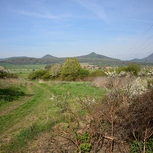 DSC_1137_00001n.jpg