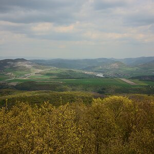 DSC_1145_00001n.jpg