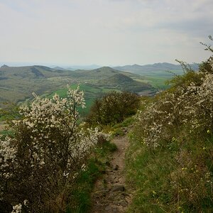 DSC_1146_00001n.jpg