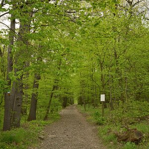 DSC_1151_00001n.jpg