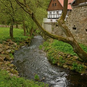 DSC_1152_00001n.jpg