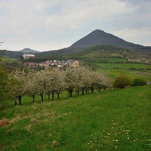 DSC_1164_00001n.jpg