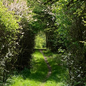 DSC_4806_00001n.jpg