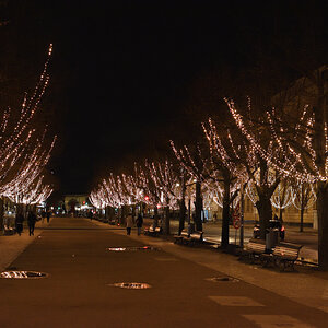 DSC_5972.JPG