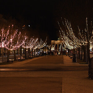 DSC_5989.JPG