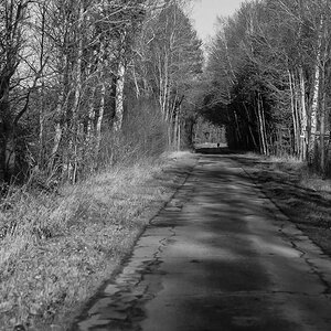Der Weg ins Moor (1 von 1).JPG