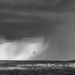 D75_2278.jpg