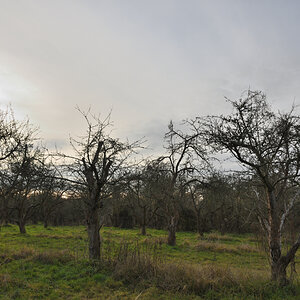 DSC_6082.JPG