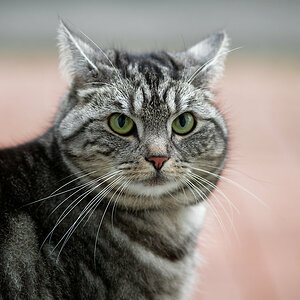 PC290012_DxO1200.jpg