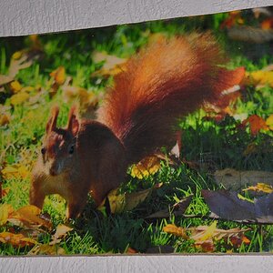 DSC_3297.jpg