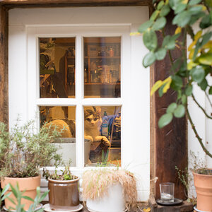 Katze am Fenster.jpg