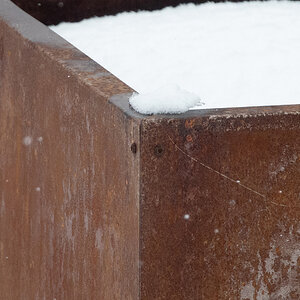 smallTC_Crop-2316.jpg