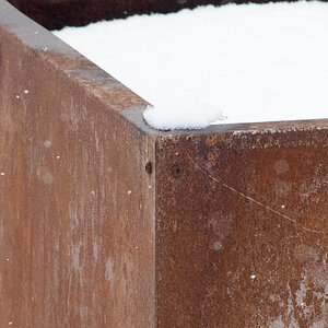 smallWithout TC Crop-2317.jpg