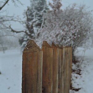 DSCN2968n.JPG