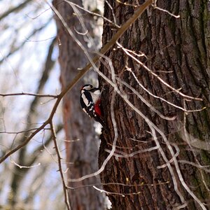 DSC_6548_00001n.jpg
