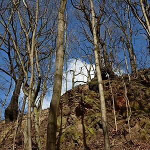 DSC_6552_00001n.jpg