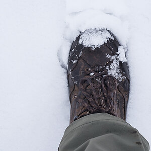 Schneeschuh (1 von 1).JPG