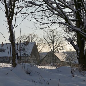 DSC_7670_00001n.jpg