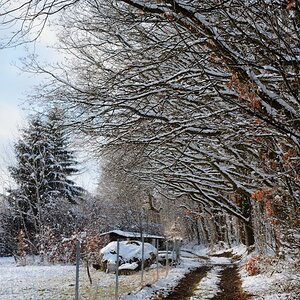 DSC_7683_00001n2.jpg