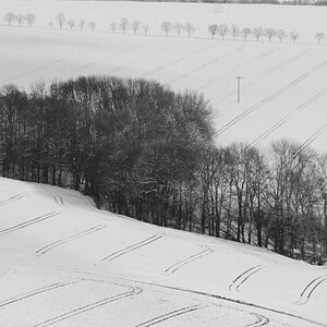 DSC_7696_00001_06n.jpg