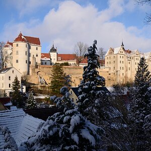 DSC_7726_00001n.jpg