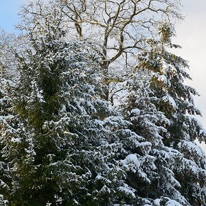 DSC_7729_00001n1.jpg