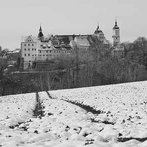 DSC_7757_00001_06n.jpg
