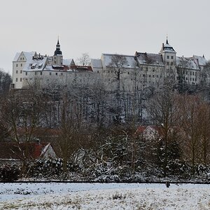 DSC_7784_00001_01n.jpg