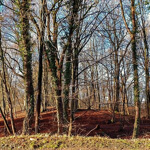 TZ_2021-01-12 11-37.jpg