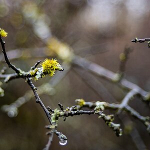 comp_DSC_0494.jpg