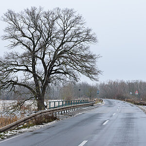 OF2_46777.jpg
