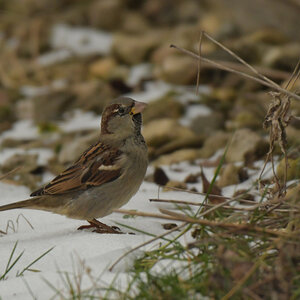 DSC_5722.jpg
