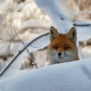 2021_O_0277_DxO.jpg