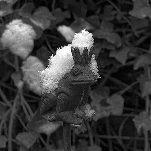 DSC_0350_DxO_11_HP5xl.jpg